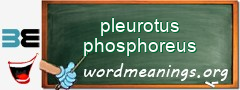 WordMeaning blackboard for pleurotus phosphoreus